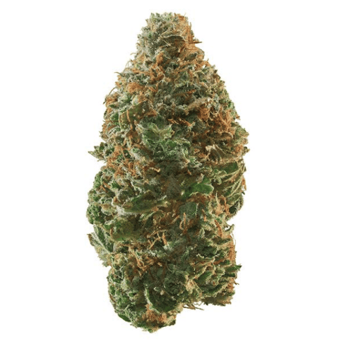Bubblegum Gelato