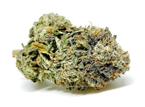 Pink Cookies